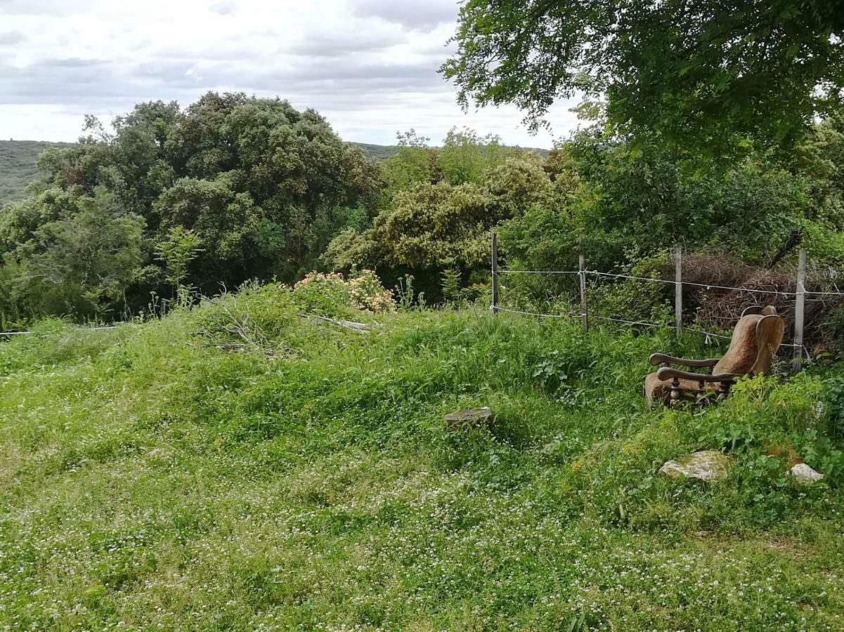 Studio Gard Calme Et Nature Russan Екстериор снимка