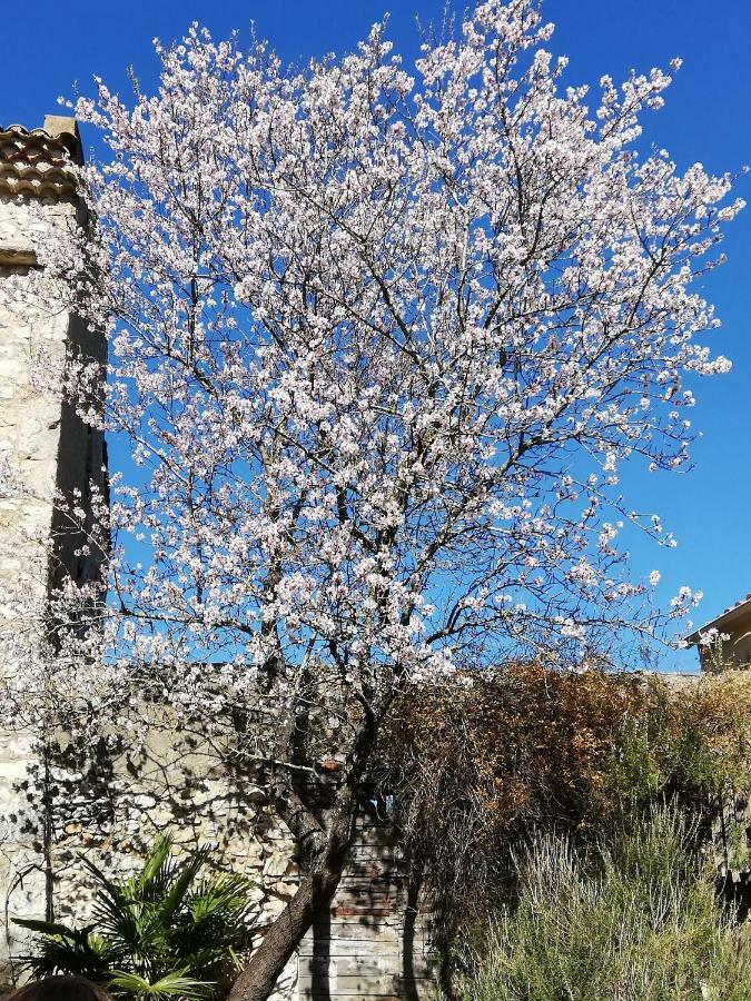 Studio Gard Calme Et Nature Russan Екстериор снимка